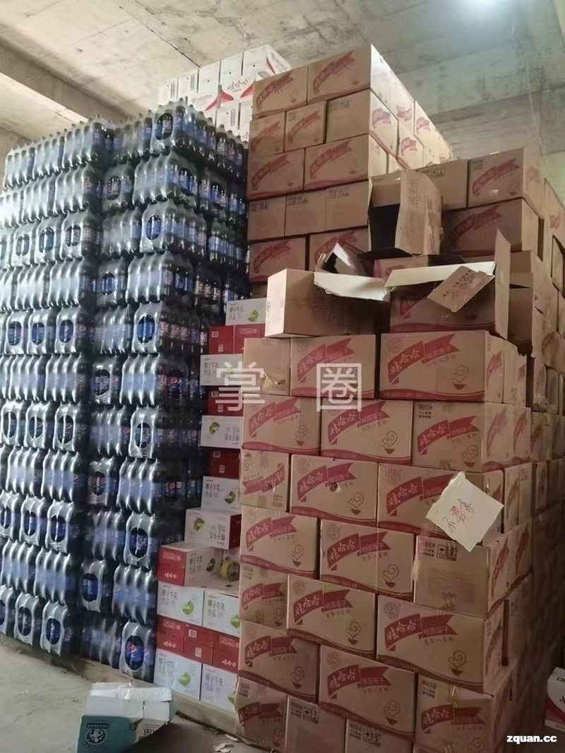 沈阳商贸公司的新气象:电商化与多元化发展趋势